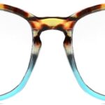 Tortoise Blue Gradient
